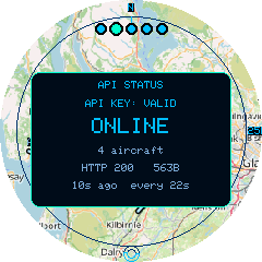 The API status panel